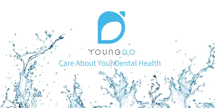 youngdo irrigador dental